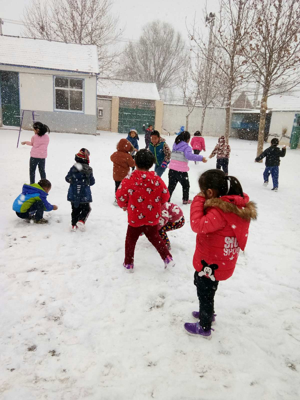 小学生作文 打雪仗_打雪仗作文小学生三年级_打雪仗作文小学生四年级