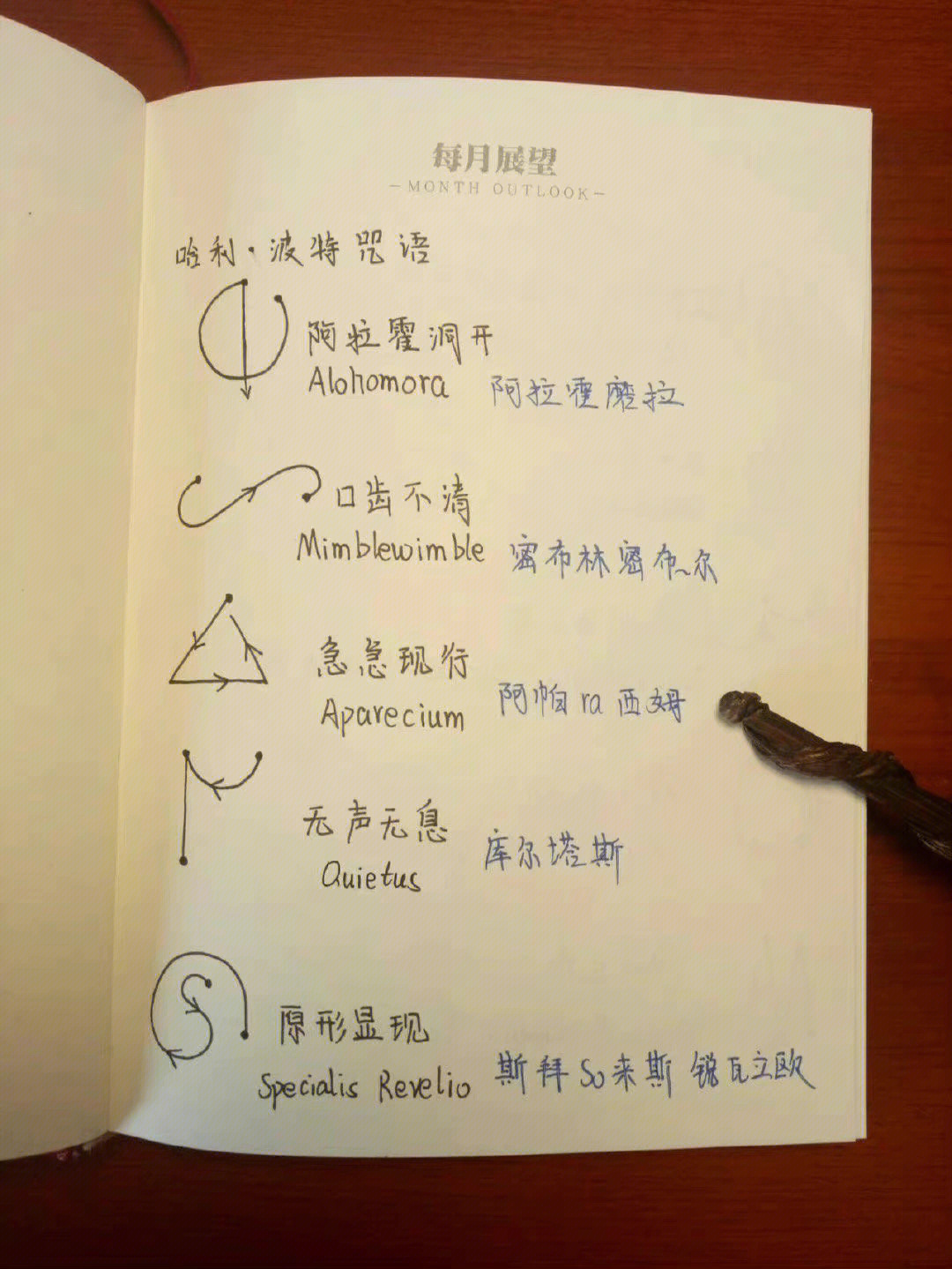 caster?_caster翻译_caster什么意思