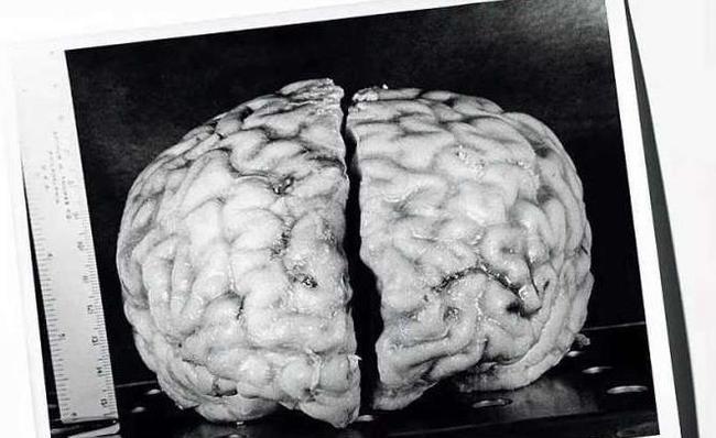 活死人归来生人回避_活死人归来2_死了的人回来了