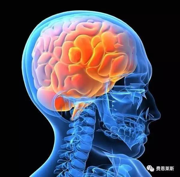 死了的人回来了_活死人归来生人回避_活死人归来2