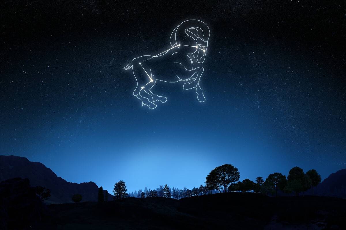 星座性格特点分析男女_星座 性格_星座性格准不准