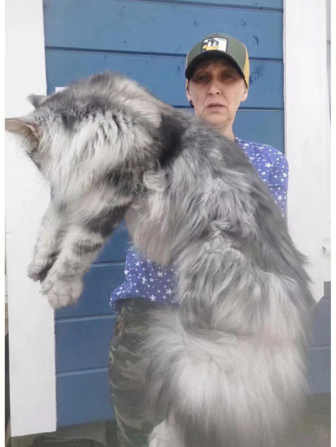 世界上最大的猫的图片_猫的画法图片上颜色_猫面前一条大鱼的图片