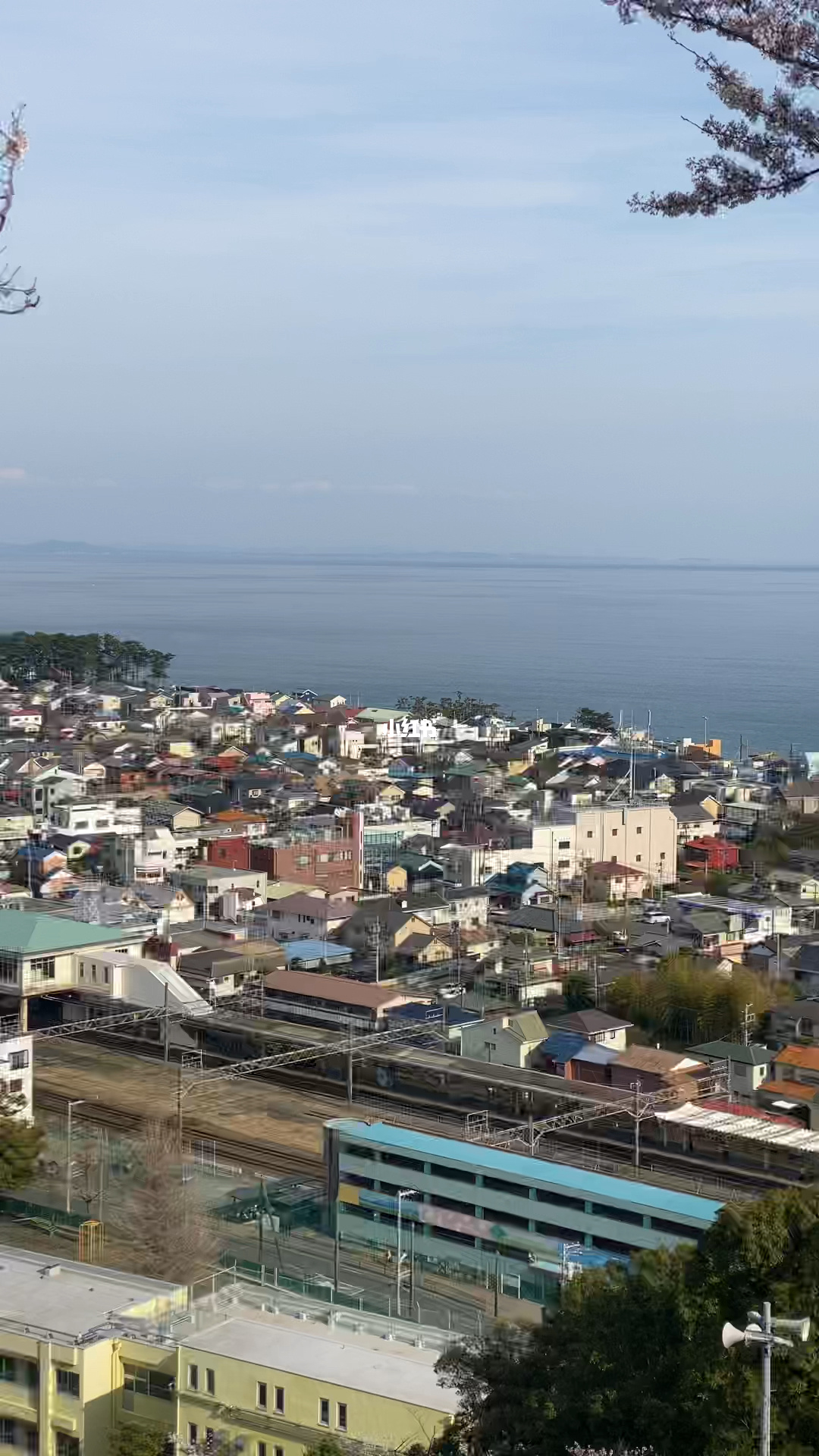 海滨小镇在哪个地方_海滨小镇板车_海滨小镇板车赛道之王