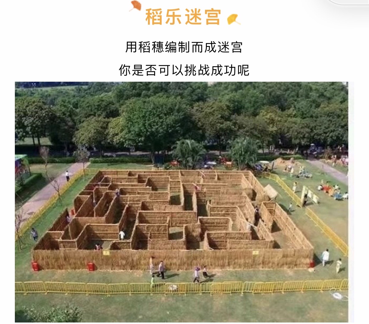 幻想夜话 quiz_幻想夜话quiz资源下载_幻想夜话quiz怎么开