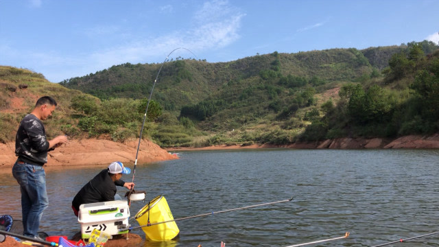 水库钓大鱼视频_世界钓鱼钓最大鱼视频_石山口水库被钓的大鱼