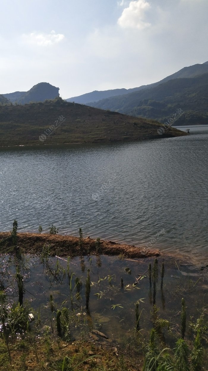 石山口水库被钓的大鱼_世界钓鱼钓最大鱼视频_水库钓大鱼视频