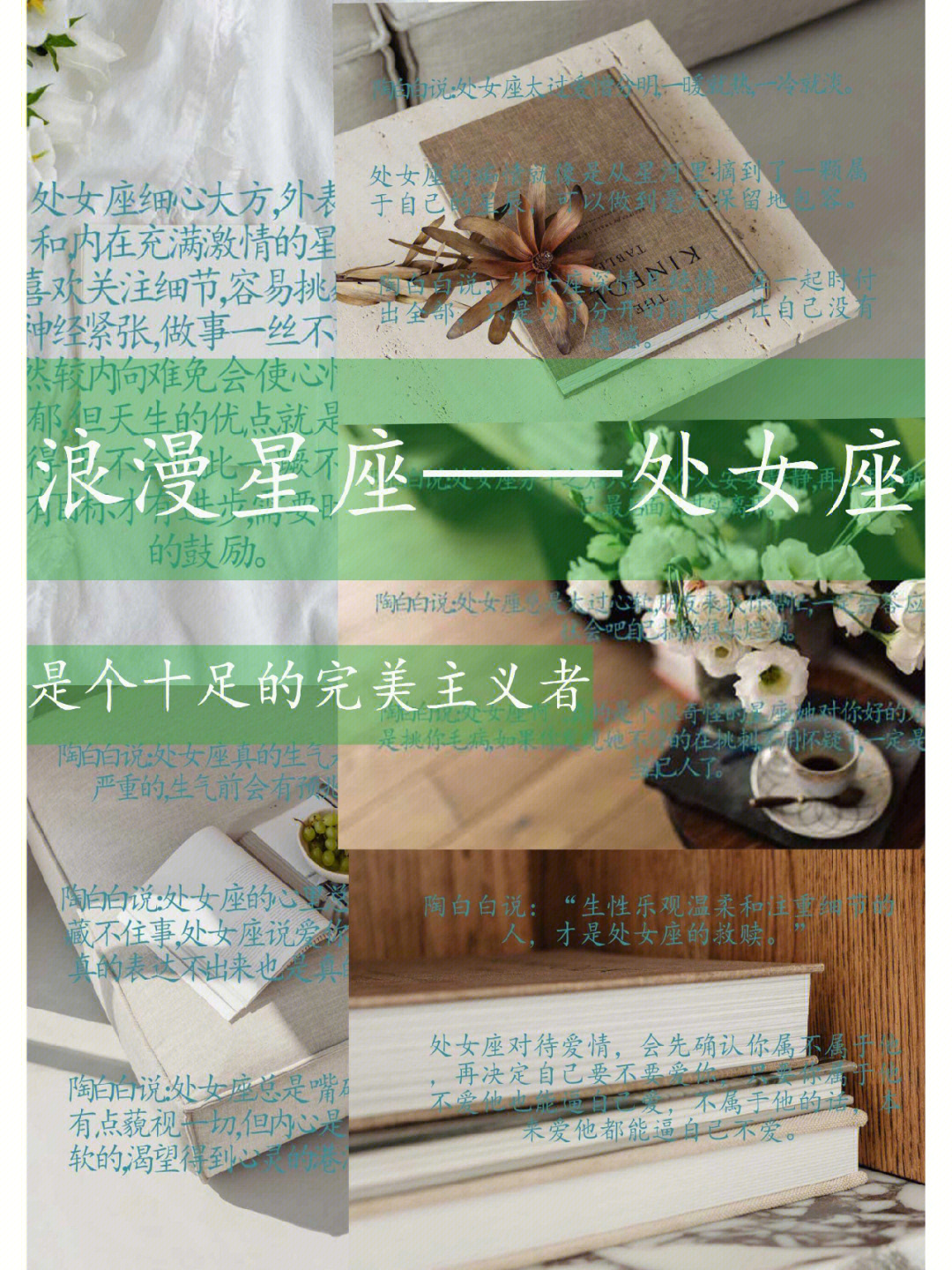 处女运势座2021年运势_处女座运势大全_处女座运势