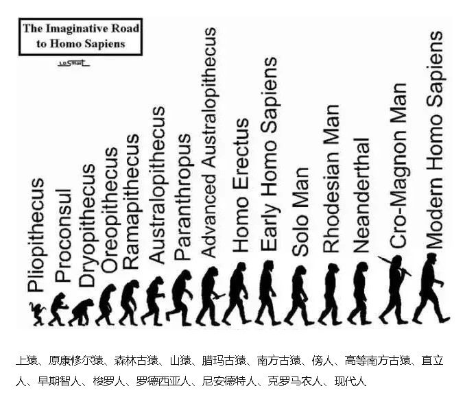 进化世界企鹅在哪_进化世界破解版内置修改器_进化世界