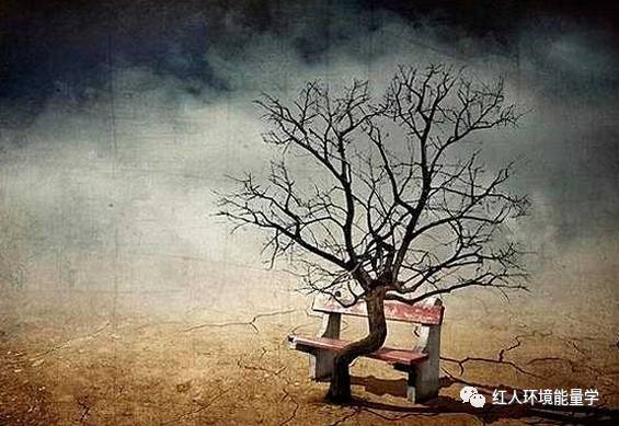 奇遇摩崖绝境_摩崖绝境攻略_魔崖绝境
