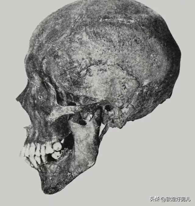 幕府将军的头骨手游版_幕府将军的头骨_幕府将军的头骨怎么开始游戏