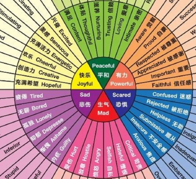 禁闭生存_禁闭生存破解版下载_禁闭生存好玩吗