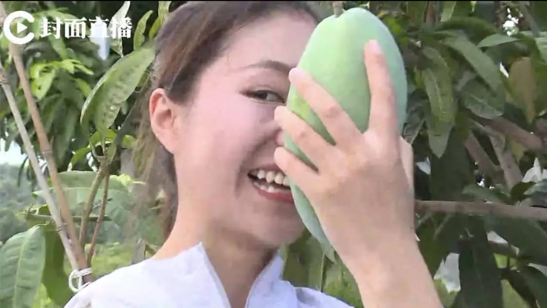 芒果直播在哪看_芒果直播怎么看_芒果直播