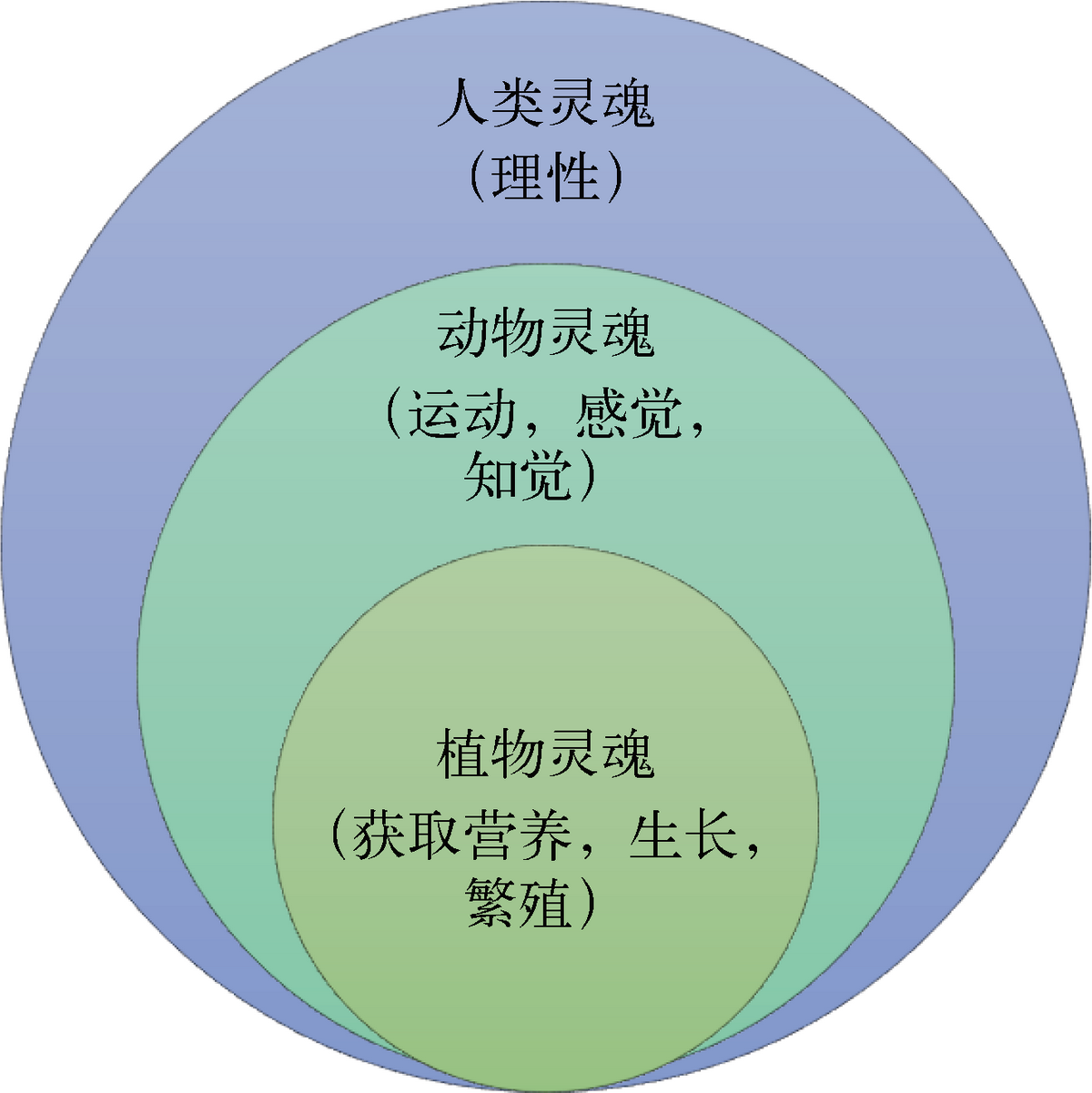 动物属于人类吗_动物属于人物吗_人属于什么动物