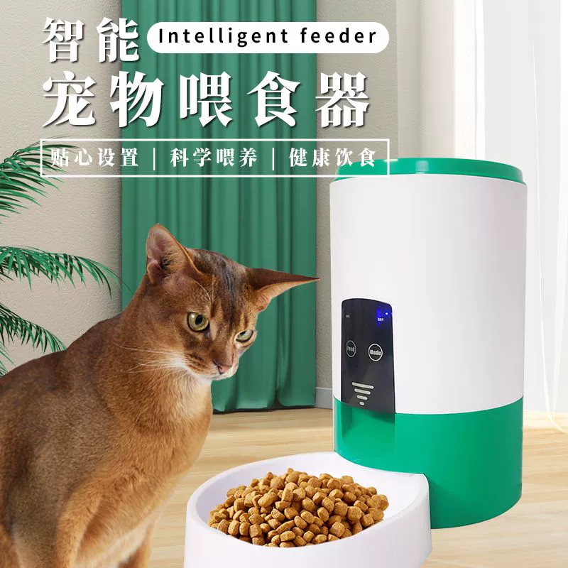 猫咪软件_拍照有猫咪的是啥软件_猫咪钢琴软件