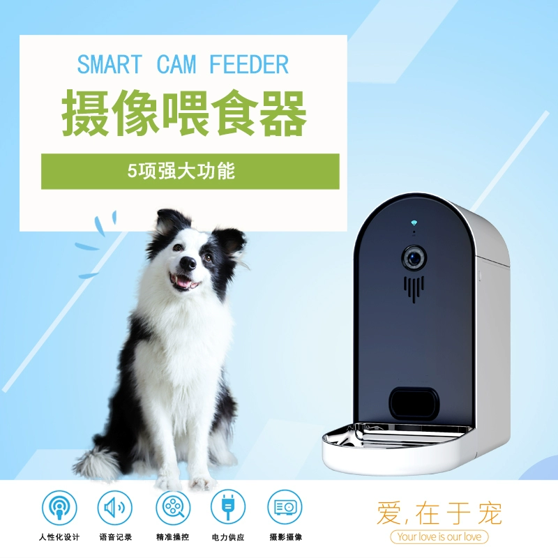 猫咪软件_拍照有猫咪的是啥软件_猫咪钢琴软件