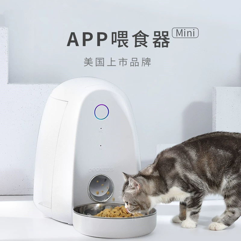 猫咪钢琴软件_拍照有猫咪的是啥软件_猫咪软件