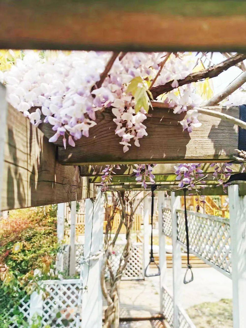 共鸣风神瞳怎么用_共鸣风主在哪里_双风共鸣