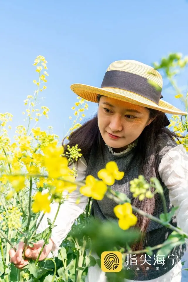 芒花谣_芒花图片_芒花