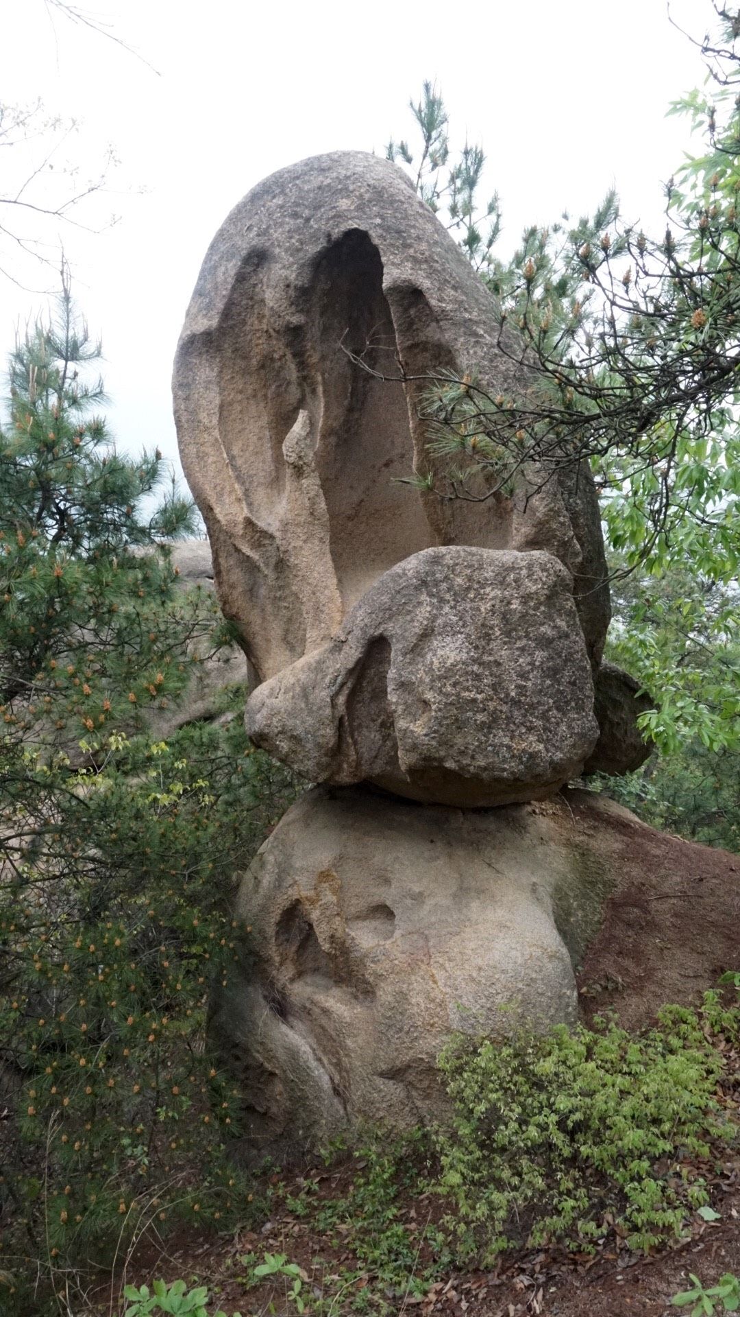 南山石，宁静与和谐的心境