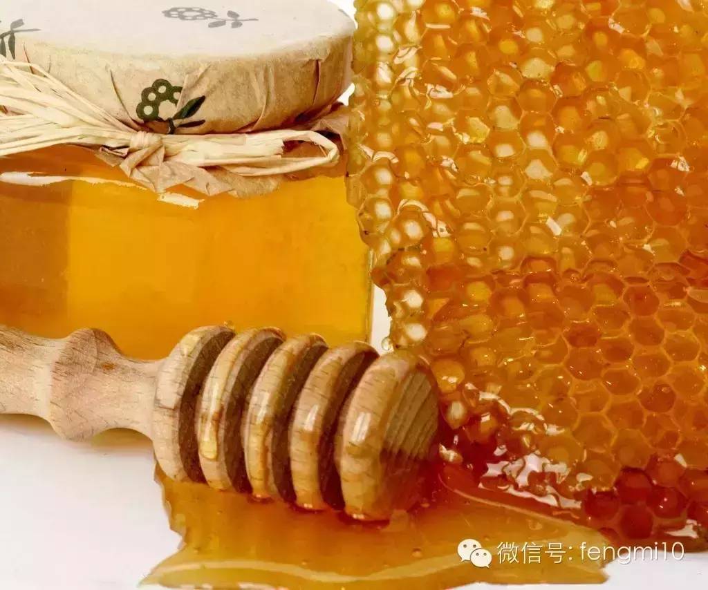 蜜罐子_蜜罐子草的作用_蜜罐子头是什么草药