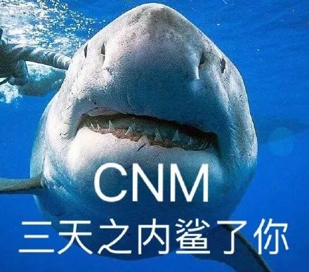 咸鱼王有用吗_王咸鱼咸王_咸鱼之王游戏入口
