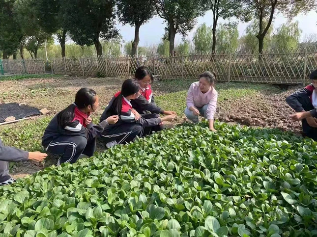 农场连连看游戏指南_农场连连看游戏_农场连连看