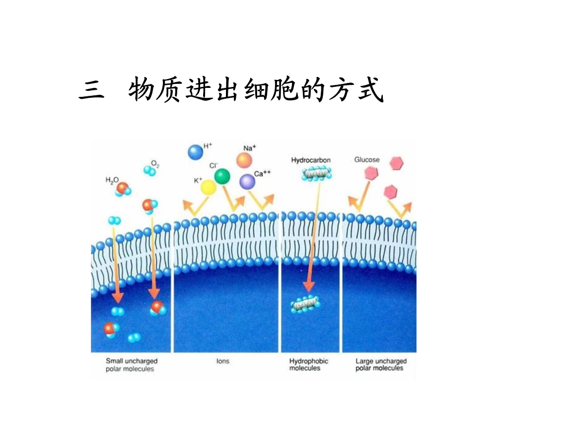 重生细胞武器图纸掉落大全_重生细胞武器图鉴_重生细胞武器