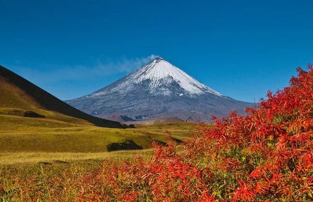 三国杀桌游风林火山_三国杀风林火山_风林火山三国杀