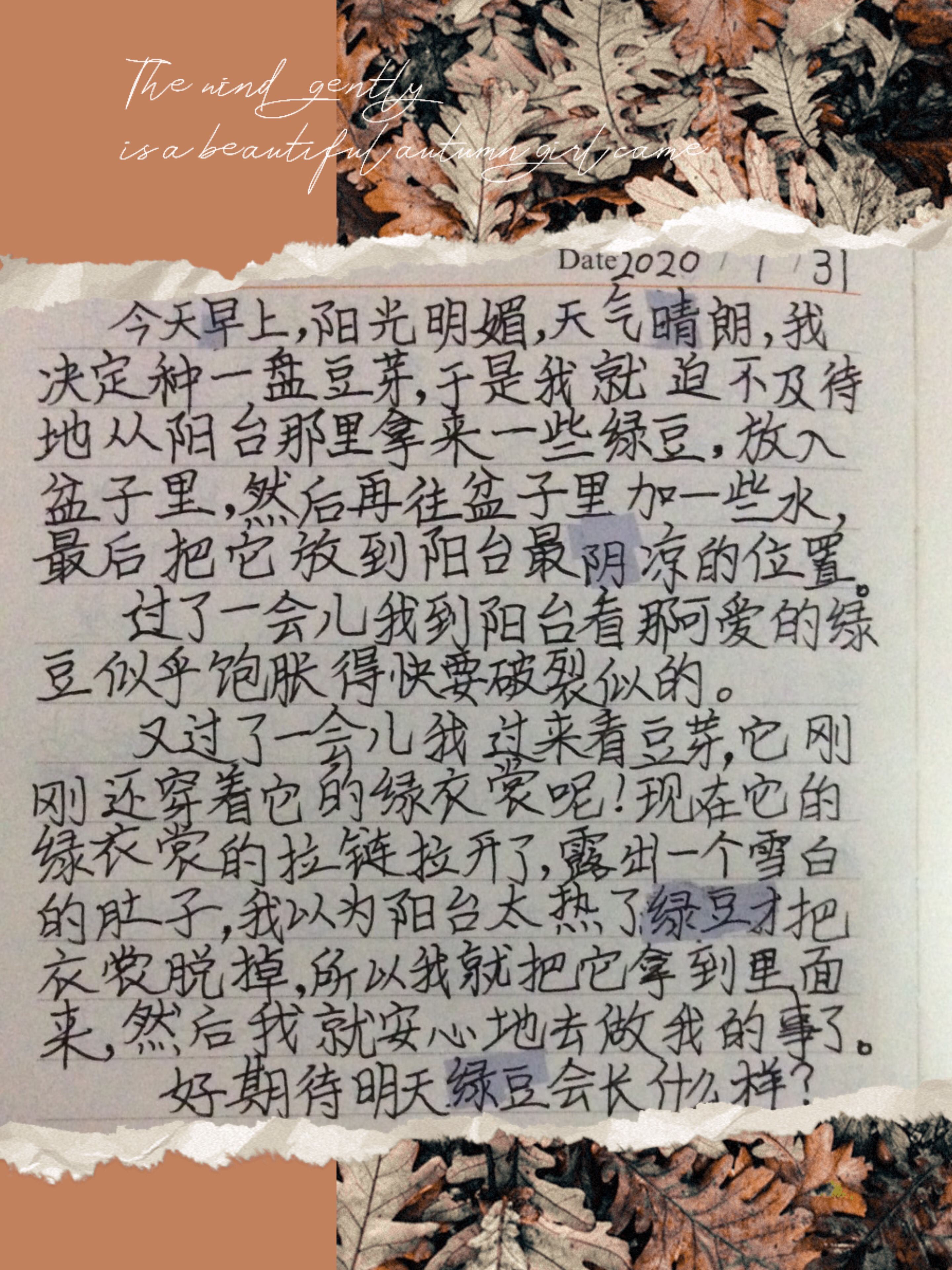 日记200字_你的日记_日记的格式是怎样的