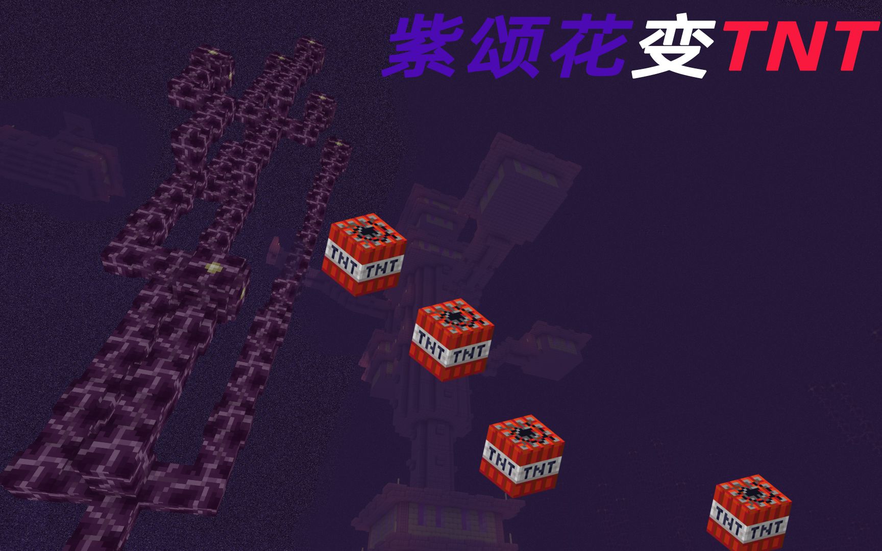 我的世界探秘：紫颂果惊艳功能解析