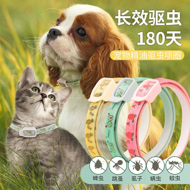 宠环积分奖励表_宠环等级和积分_宠环积分对应奖励