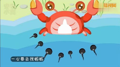 小蝌蚪小视频_小蝌蚪小视频_小蝌蚪小视频