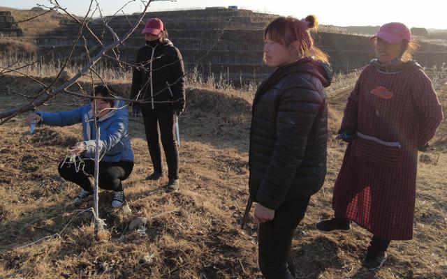 村民繁殖所怎么做_1.12.2村民繁殖_怎么让村民繁殖