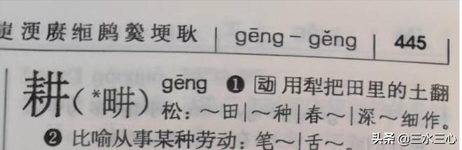 梗是四方的叶子泡水很苦是什麼_刘耕宏是什么梗_四川移动刘耕简历