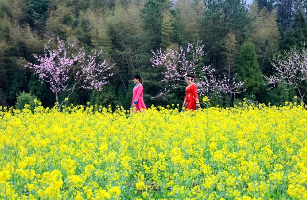 泽村遥_泽村遥_泽村遥