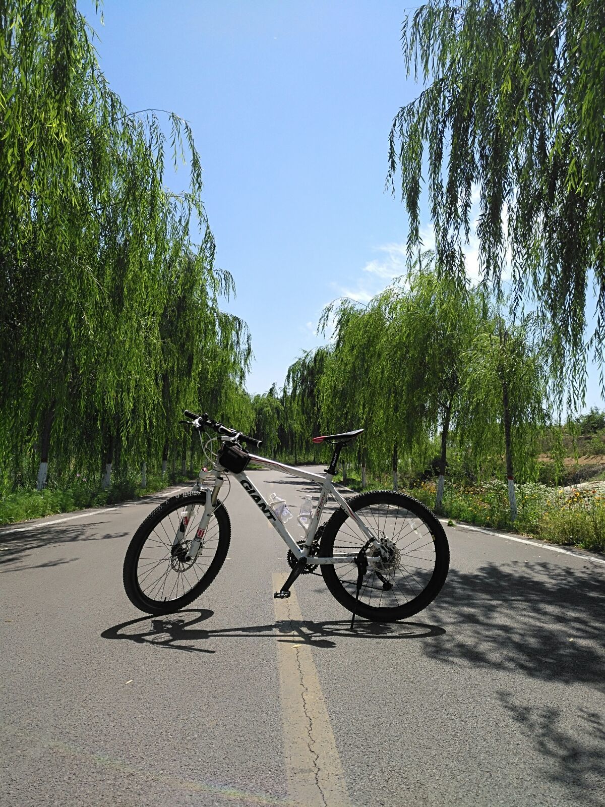 自行车骑去撞到电动车_去骑自行车_骑自行车去西藏