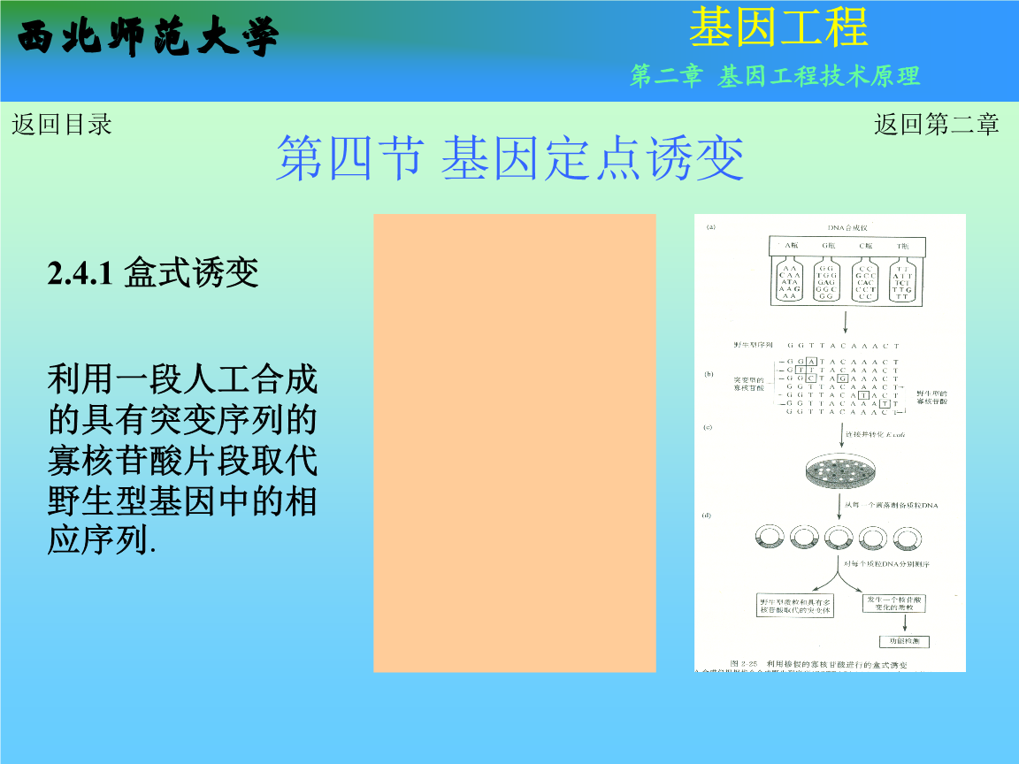 诱变剂_诱变剂_诱变剂