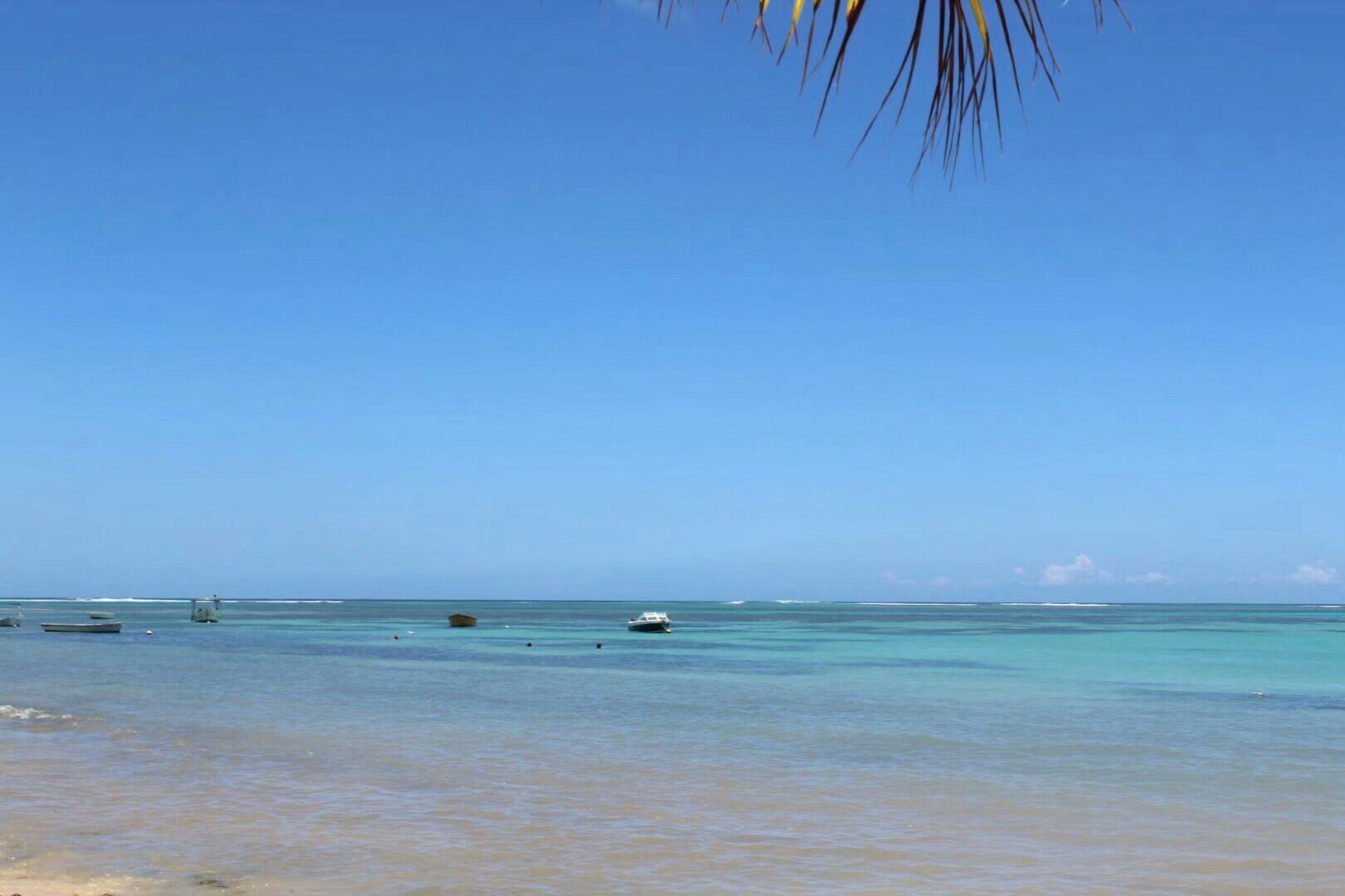 永劫无间天海_永劫无间天海大招玩法_永劫无间天海技能搭配