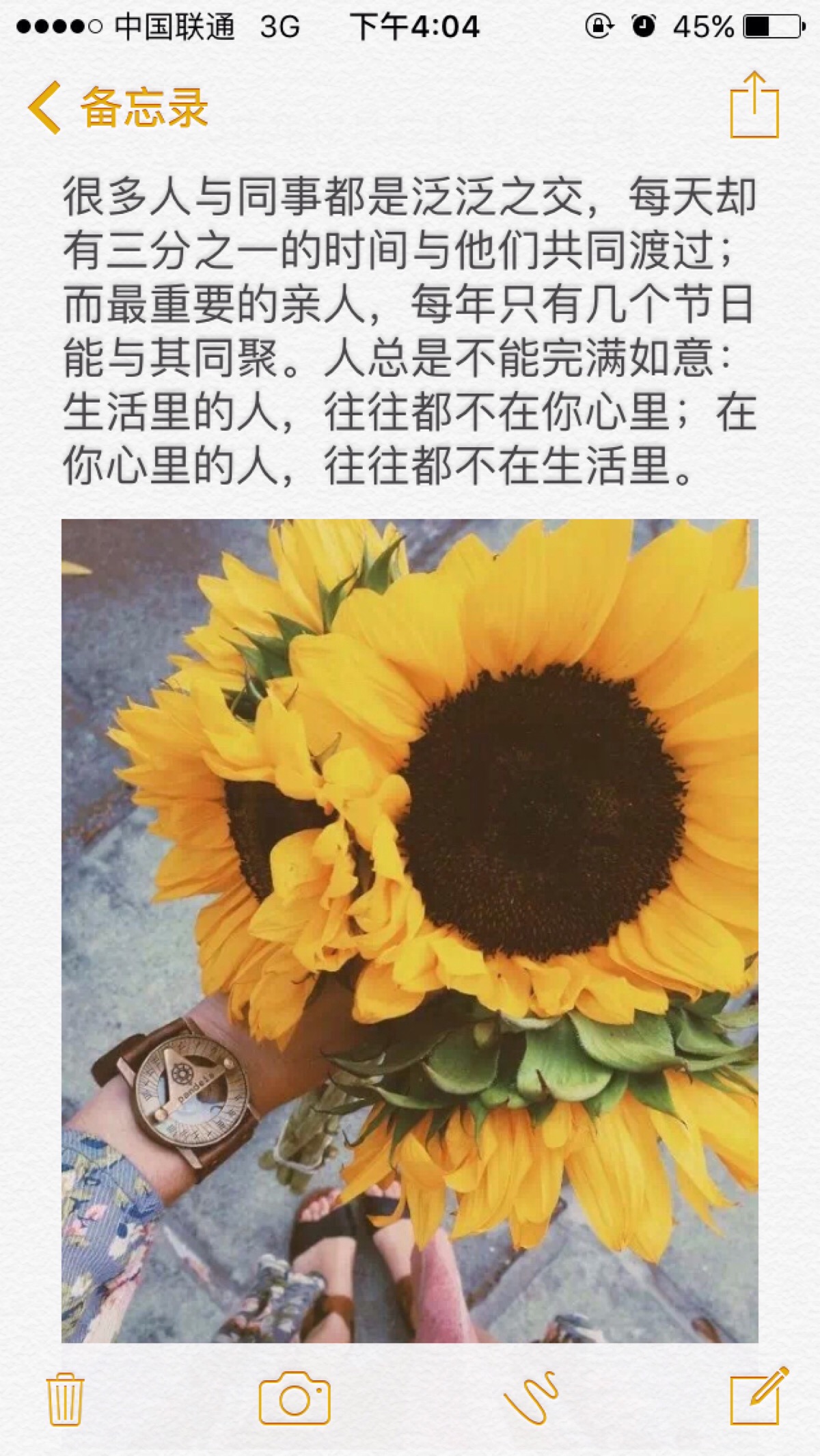 谢语花_谢语花_谢语花