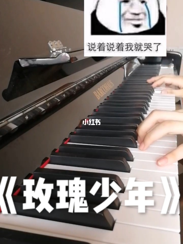 搜索玫瑰少年琴谱_玫瑰少年琴谱光遇_玫瑰少年光遇琴谱