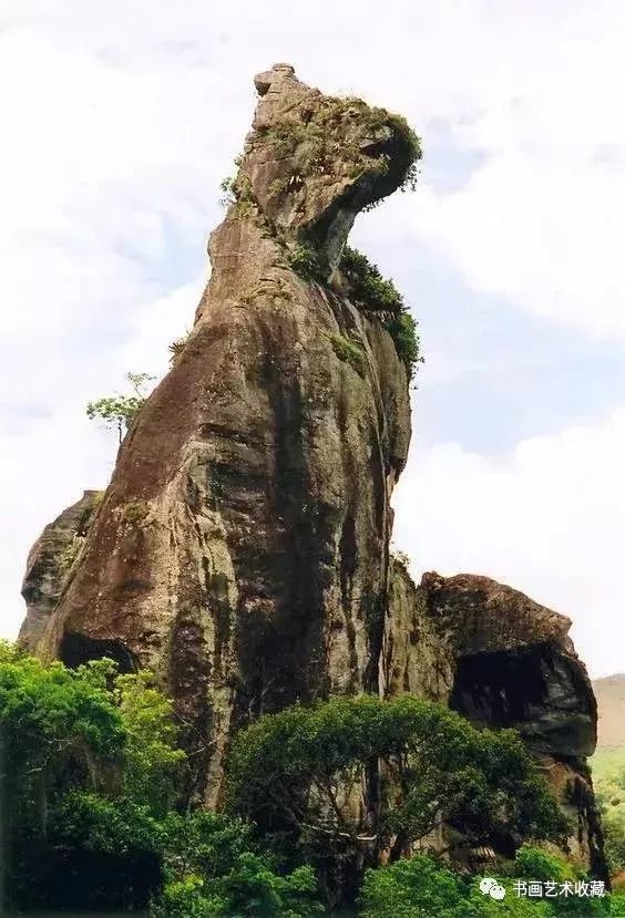迦农什么意思_迦百农_迦百农法兰球阀