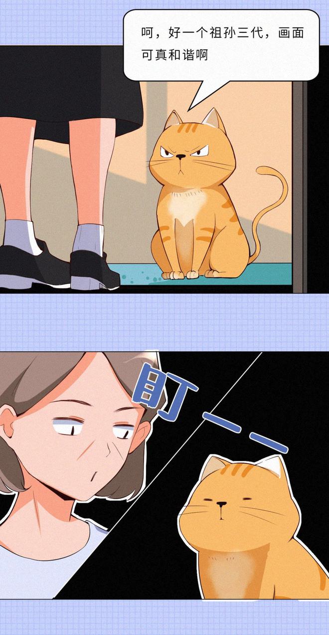 夜射猫全球顶级成人在线_猫用成人沐浴露会掉毛吗_快猫成人
