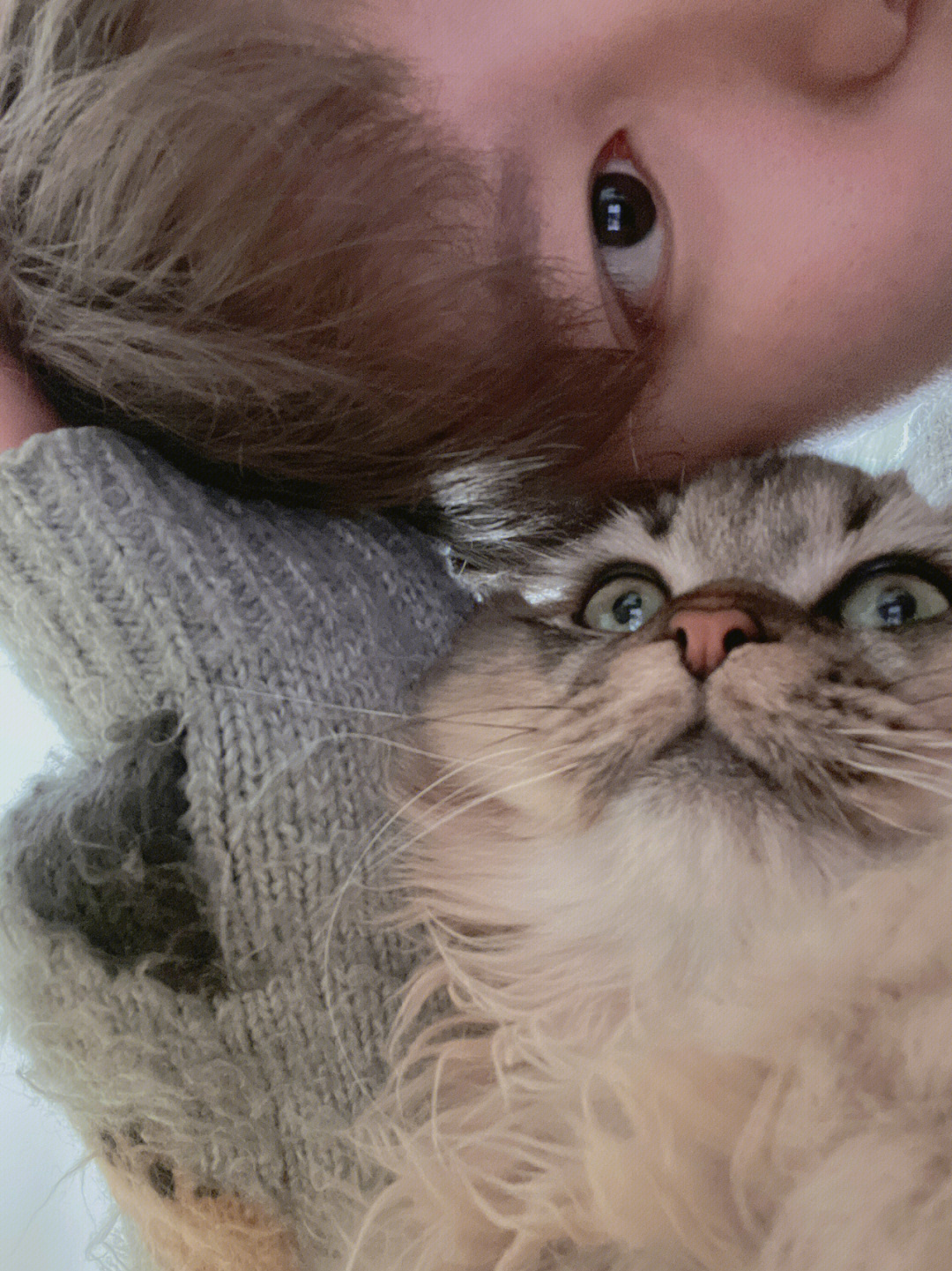 快猫成人_猫用成人沐浴露会掉毛吗_夜射猫全球顶级成人在线