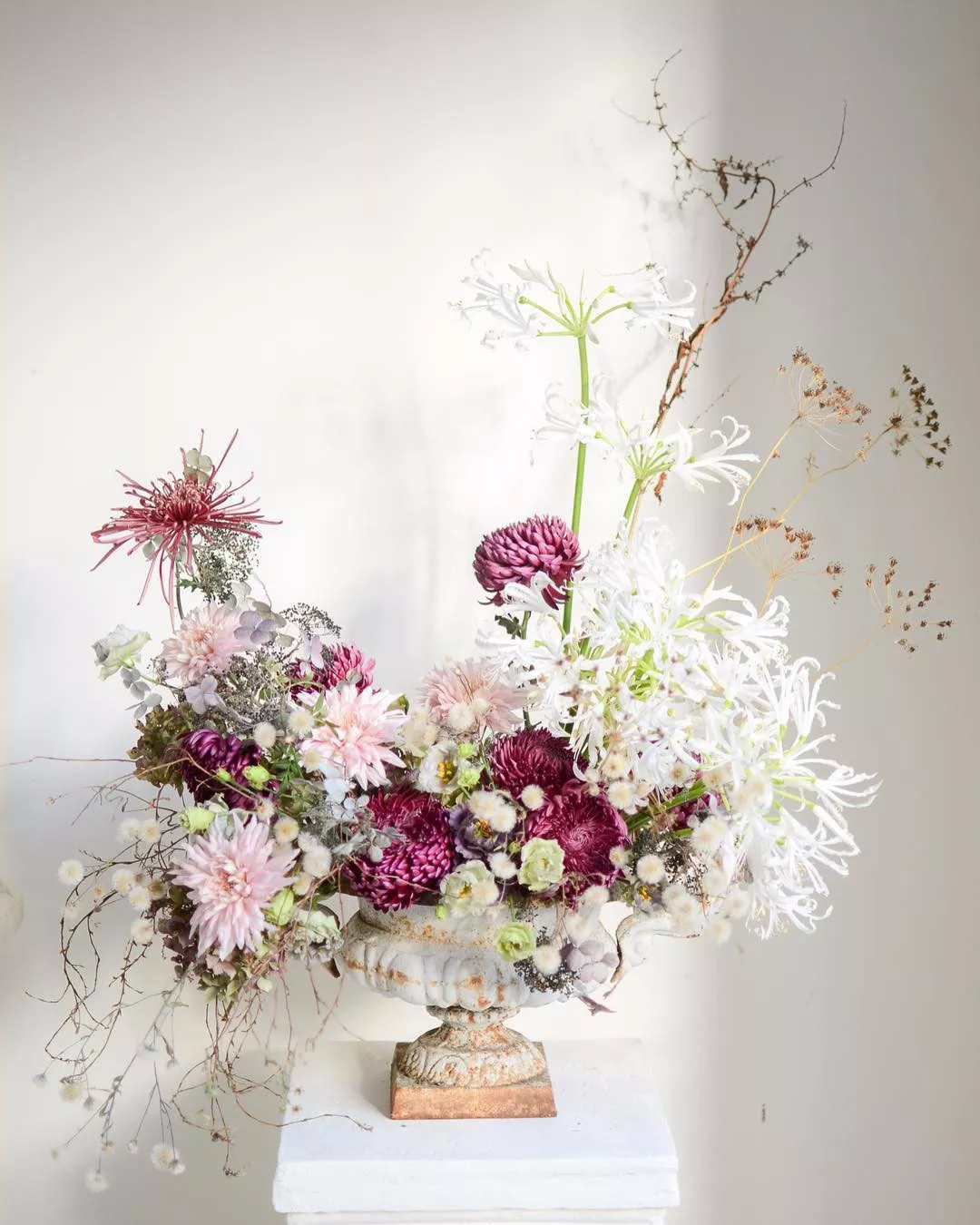 花蜜app_花蜜app下载软件_花蜜App