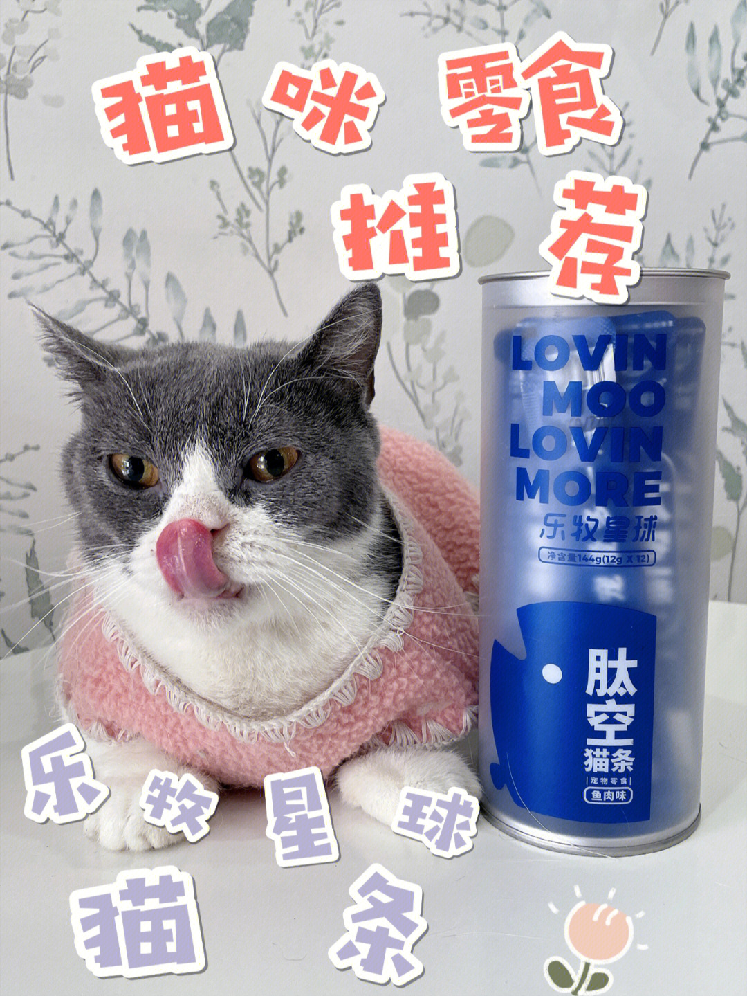 猫狗大战2_猫狗大战中的猫是什么猫_猫狗大战4