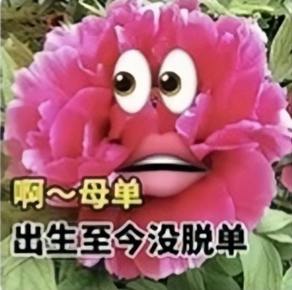 母单花是什么意思_母单花对应_母单花的功效和作用
