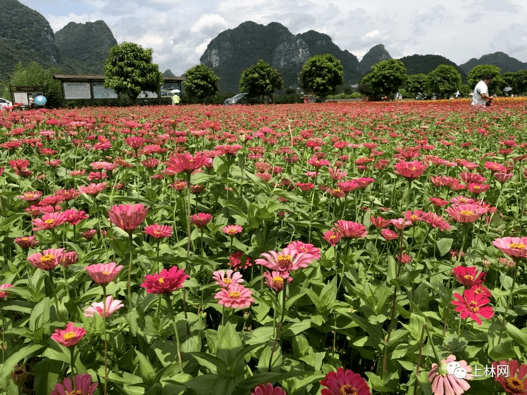 落花网打不开_落花网打不开_落花网打不开