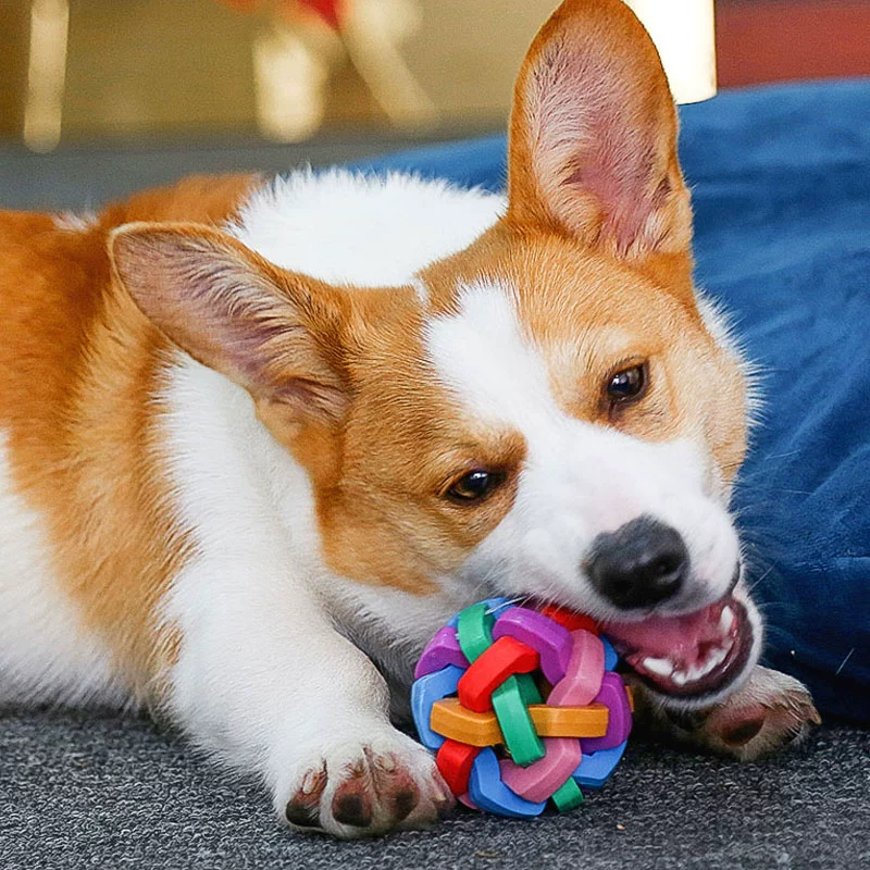 世界犬种展示视频_全世界最小的犬种是_世界犬种分类