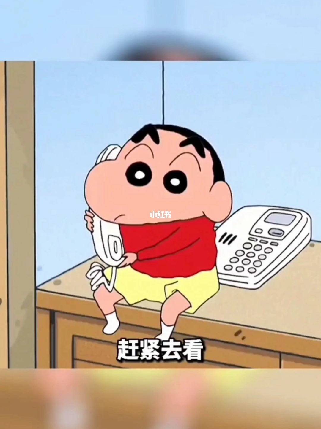 蜡笔小新免费下载_蜡笔小新免费下载_蜡笔小新免费下载
