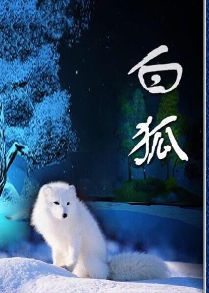 白狐视频素材_白狐视频_视频白狐简谱教学